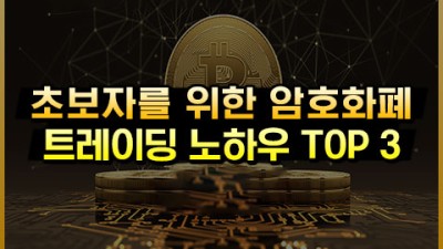 초보를 위한 가상화폐 트레이딩 고수익 노하우 TOP 3